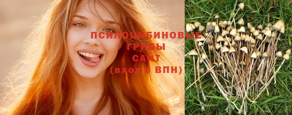 амф Инта