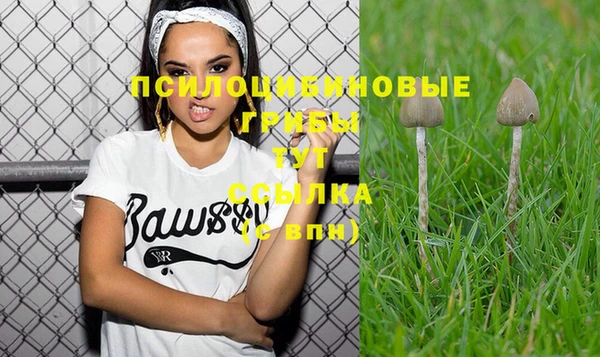 прущая мука Иннополис