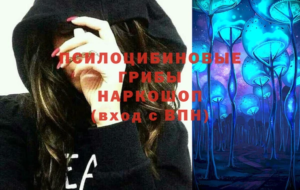 амф Инта